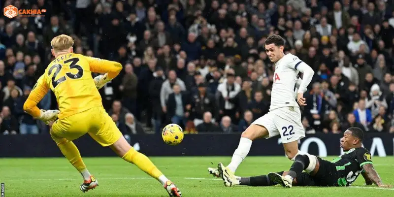 Lịch sử đối đầu Tottenham Hotspur vs Brighton & Hove Albion qua các trận đấu nổi bật